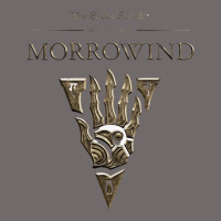 Morrowind Urban Heavy Tee | Teevron