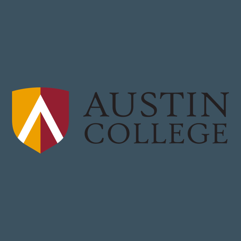 Austin College Urban Heavy Tee by linhVisuals | Teevron