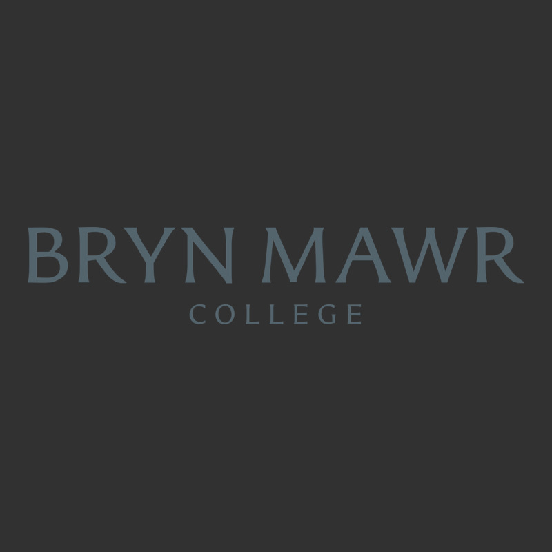 Bryn Mawr College Urban Heavy Tee by linhVisuals | Teevron