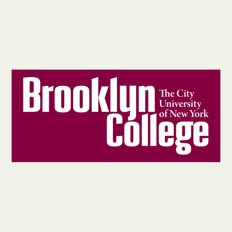 Brooklyn College Urban Heavy Tee by linhVisuals | Teevron