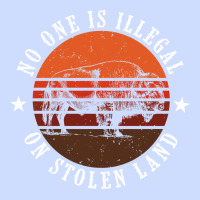 No One Is Illegal On Stolen Land 4th Of July Bison Urban Heavy Tee | Teevron