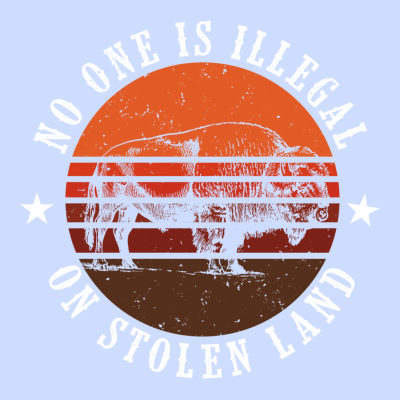 No One Is Illegal On Stolen Land 4th Of July Bison Urban Heavy Tee by linhVisuals | Teevron
