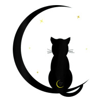 Womens Double Moon Cat Urban Heavy Tee | Teevron