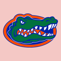 Go Florida Gators Football Urban Heavy Tee | Teevron