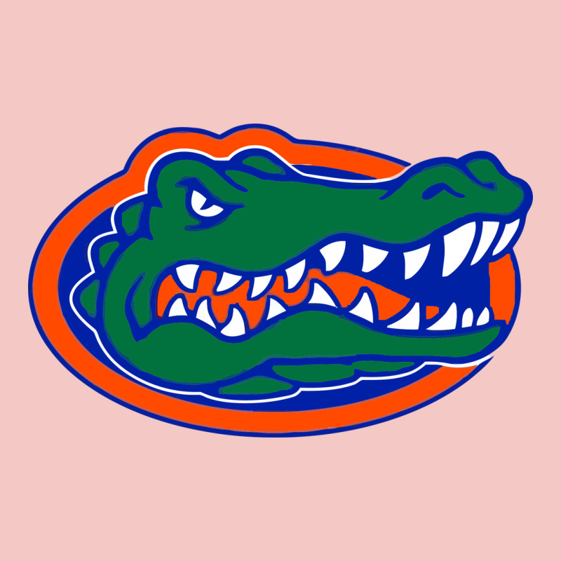 Go Florida Gators Football Urban Heavy Tee by linhVisuals | Teevron