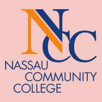 Nassau Community College Urban Heavy Tee | Teevron