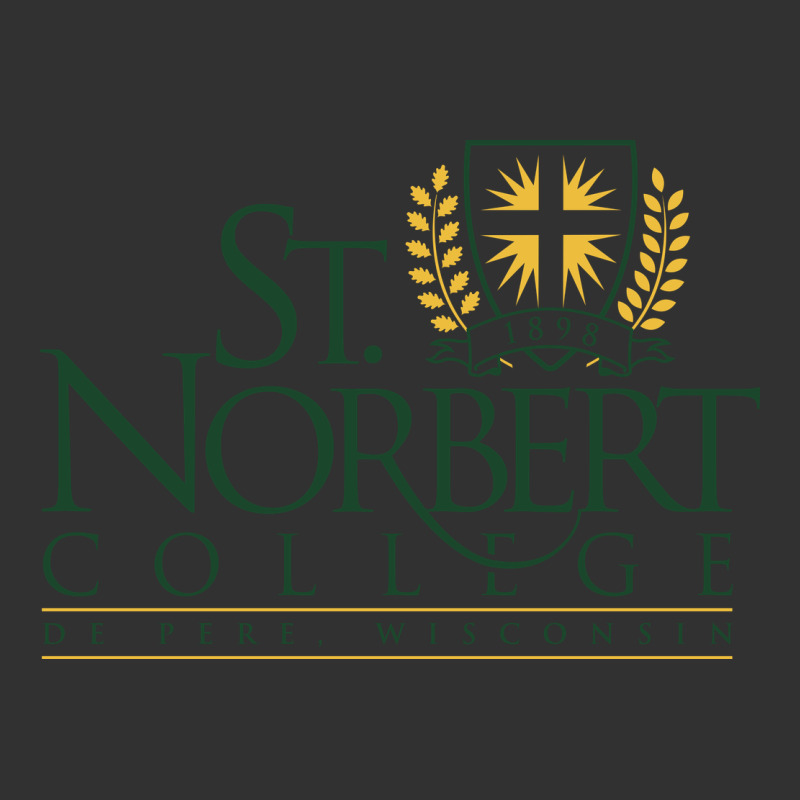 St. Norbert College Urban Heavy Tee by linhVisuals | Teevron
