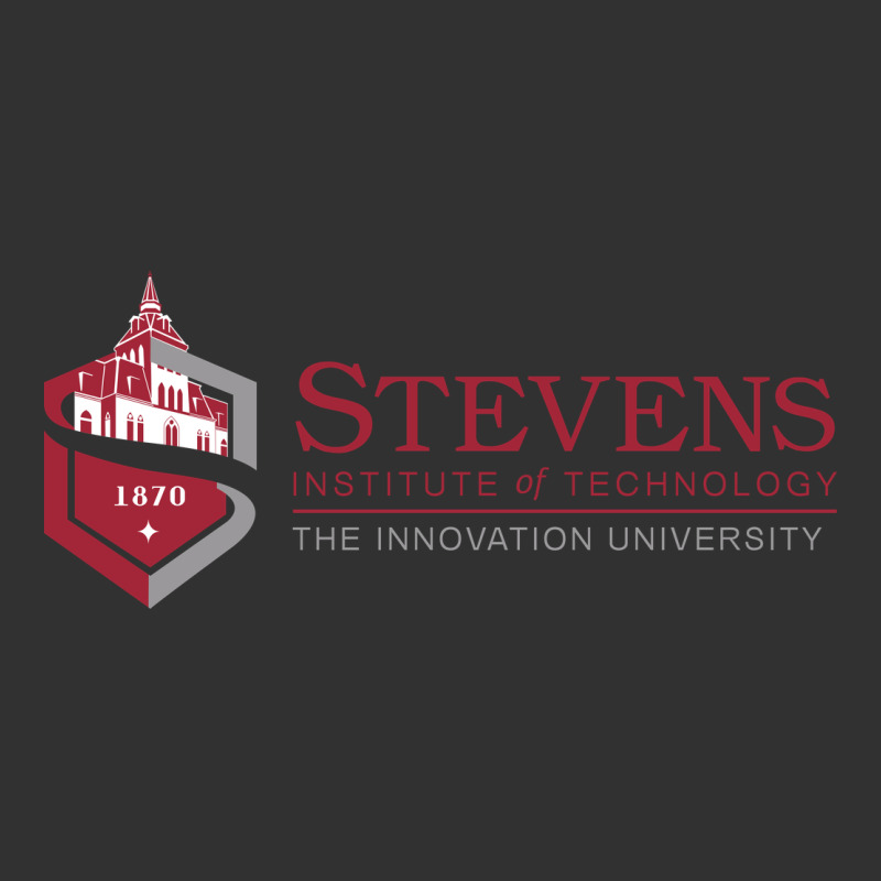 Stevens Institute Of Technology Urban Heavy Tee by linhVisuals | Teevron