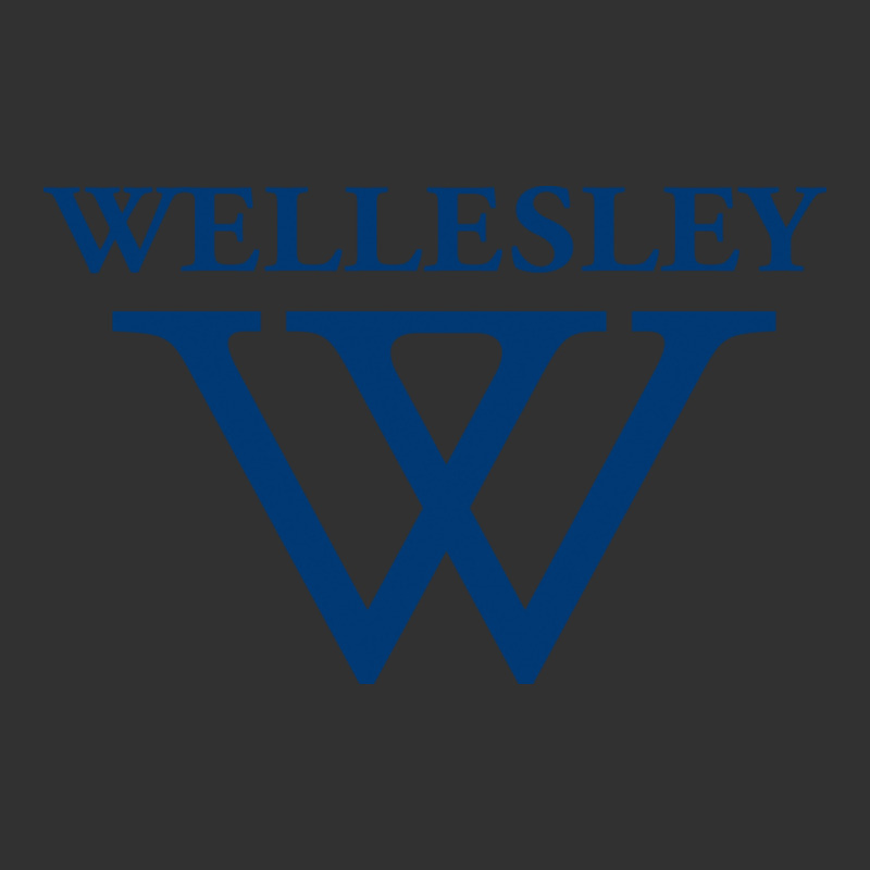 Wellesley College Urban Heavy Tee by linhVisuals | Teevron