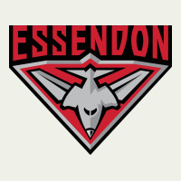 Essendon Fc Urban Heavy Tee | Teevron