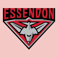 Essendon Fc Urban Heavy Tee | Teevron