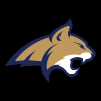 Montana State Bobcats Urban Heavy Tee | Teevron