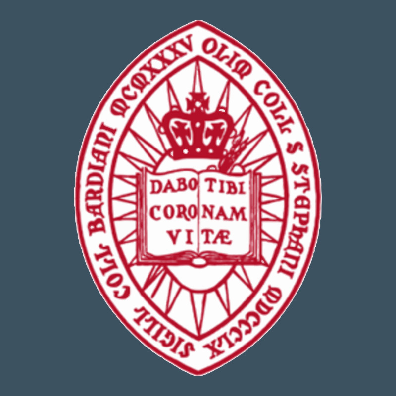 Bard College Urban Heavy Tee by linhVisuals | Teevron