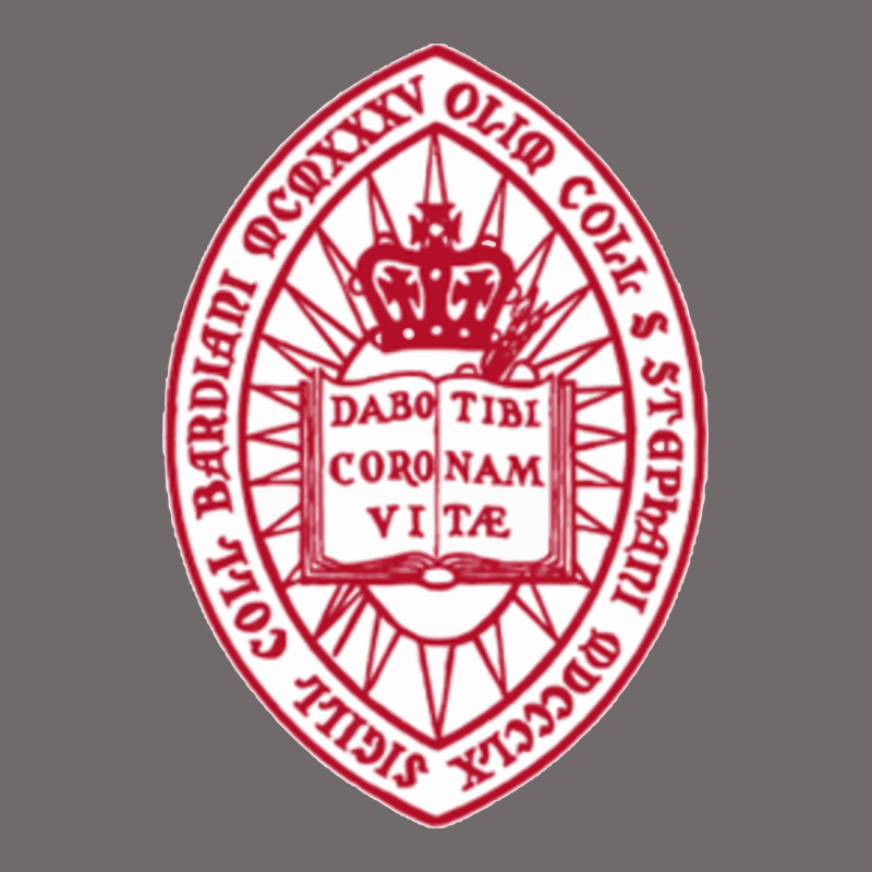 Bard College Urban Heavy Tee by linhVisuals | Teevron