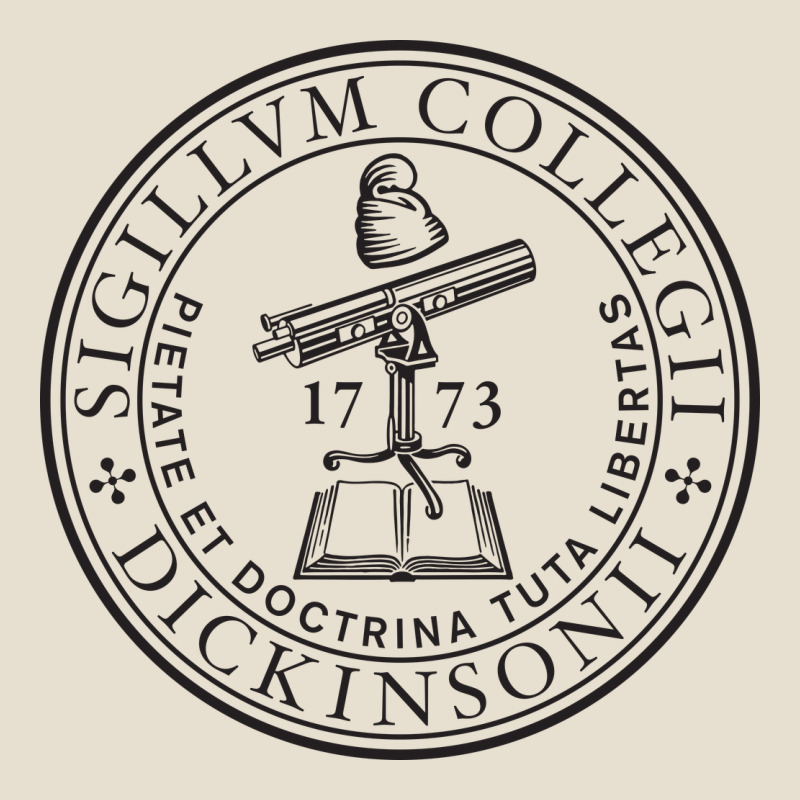 Dickinson College Urban Heavy Tee by linhVisuals | Teevron