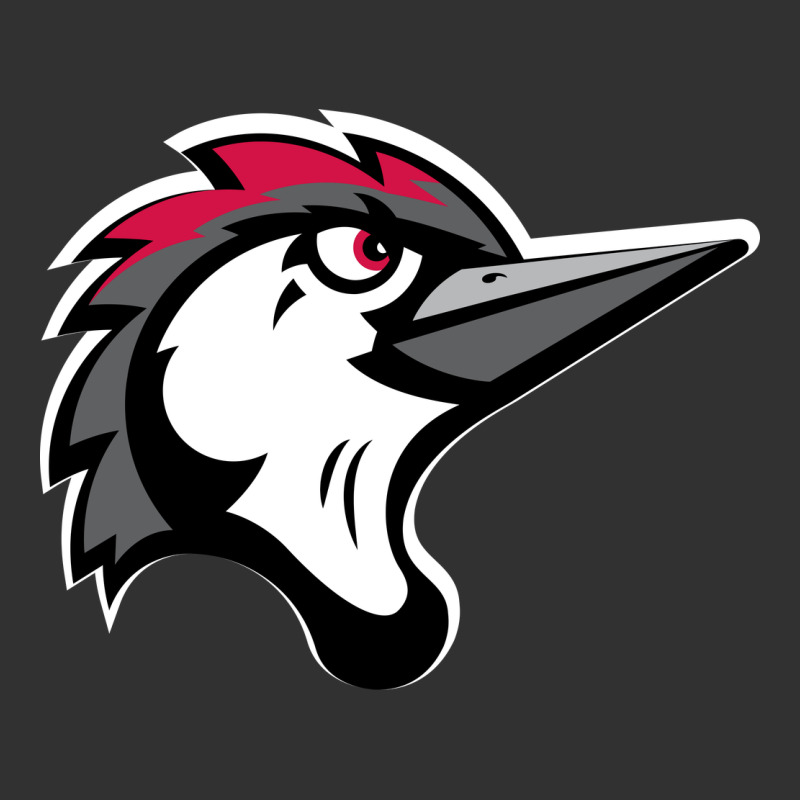 Fayetteville Woodpeckers Urban Heavy Tee by linhVisuals | Teevron