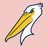 Myrtle Beach Pelicans Urban Heavy Tee | Teevron