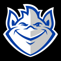 The Billikens Urban Heavy Tee | Teevron