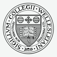 Wellesley College Urban Heavy Tee | Teevron