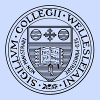 Wellesley College Urban Heavy Tee | Teevron