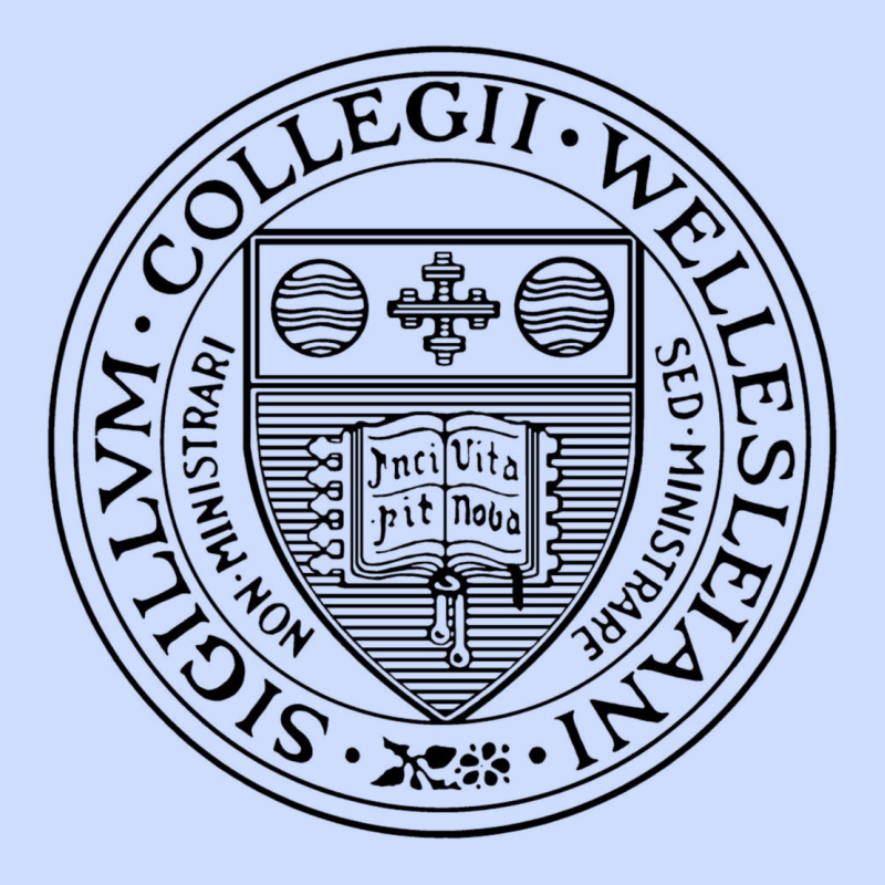 Wellesley College Urban Heavy Tee by linhVisuals | Teevron