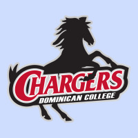 The Dominican Chargers Urban Heavy Tee | Teevron