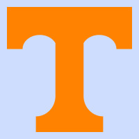 Tennessee Volunteers Urban Heavy Tee | Teevron