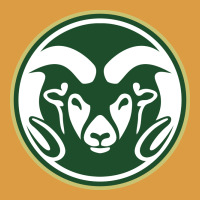 The Colorado State Rams Urban Heavy Tee | Teevron
