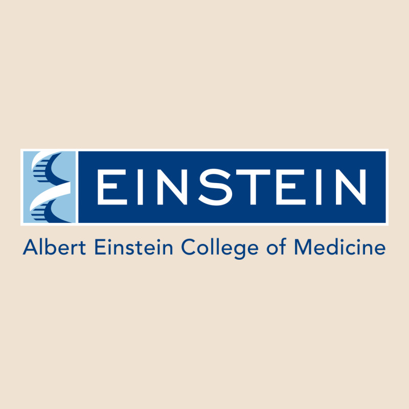Albert Einstein College Of Medicine Urban Heavy Tee by linhVisuals | Teevron