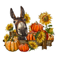 donkey sunflower and pumpkin farm | Teevron