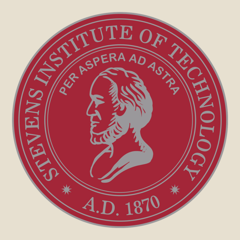 Stevens Institute Of Technology Urban Heavy Tee by linhVisuals | Teevron