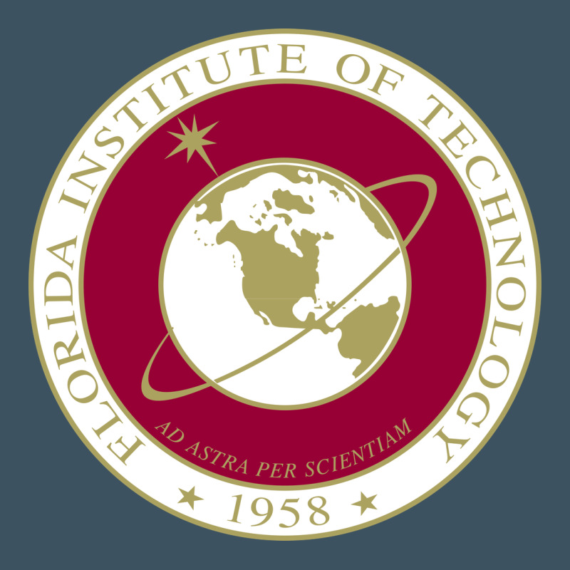 Florida Institute Of Technology Urban Heavy Tee by linhVisuals | Teevron