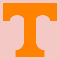 Tennessee Urban Heavy Tee | Teevron