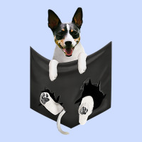 Rat Terrier Dog In Pocket, Rattie Puppy, Ratting Terrier T Shirt Urban Heavy Tee | Teevron