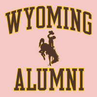 Wyoming Cowboys Apparel Alumni Classic Arch Long Sleeve T Shirt Urban Heavy Tee | Teevron