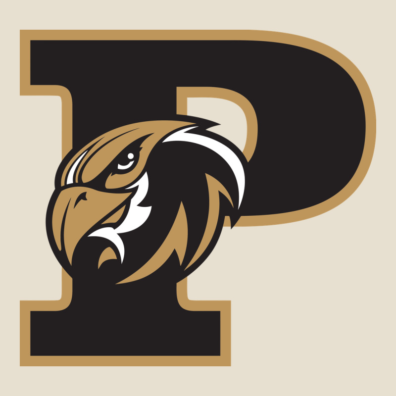 Poolesville High School Urban Heavy Tee by linhVisuals | Teevron