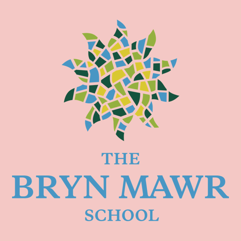 Bryn Mawr School Urban Heavy Tee by linhVisuals | Teevron