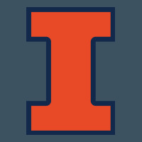 Illinois Urban Heavy Tee | Teevron