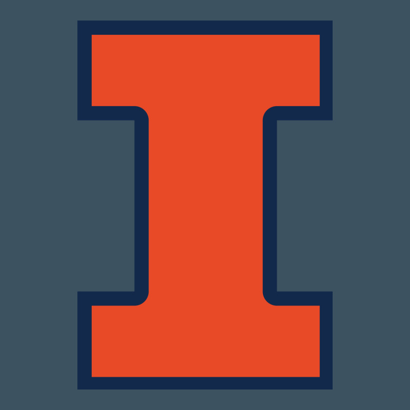 Illinois Urban Heavy Tee by linhVisuals | Teevron