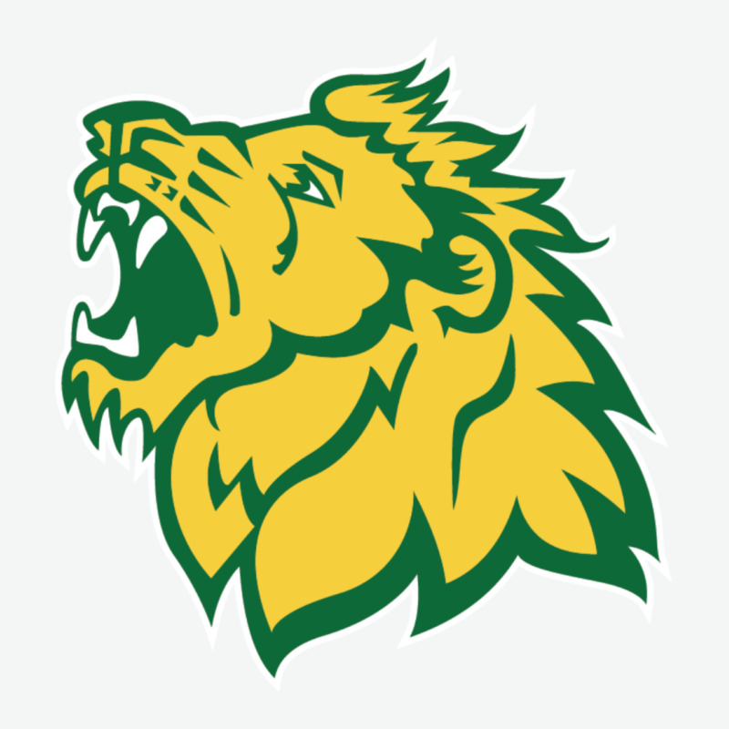 Missouri Southern, Mssu Lions Urban Heavy Tee by linhVisuals | Teevron