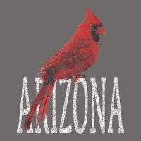 Black Vintage Cardinal Red Bird Arizona Az Gifts Premium T Shirt Urban Heavy Tee | Teevron