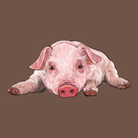 Baby Pig Premium Sweatshirt | Teevron