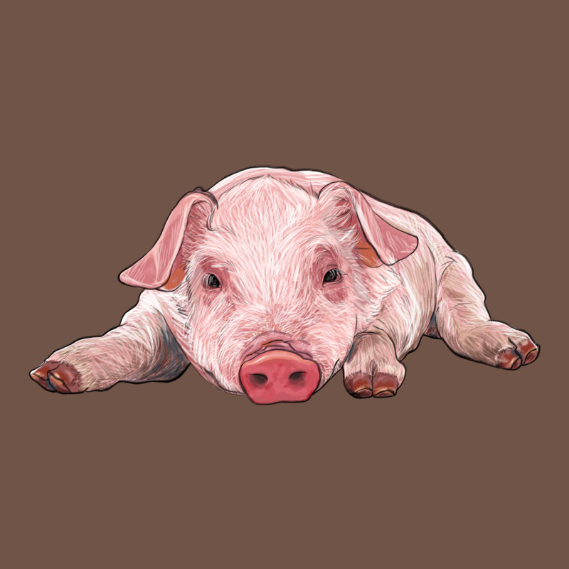 Baby Pig Premium Sweatshirt by RanaPortraitStore | Teevron