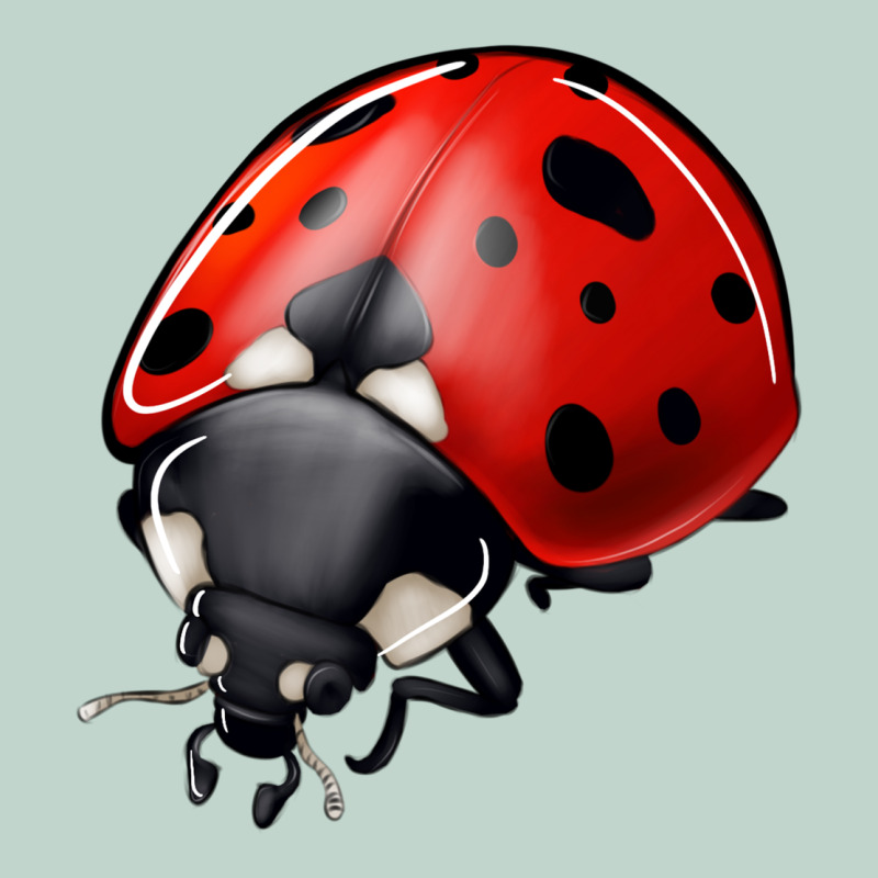 Ladybug Zipper Hoodie by Jasminsmagicworld | Teevron