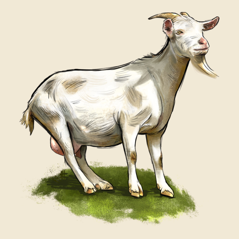Cashmere Goat Ladies Tee by LillyAllenDesigns | Teevron