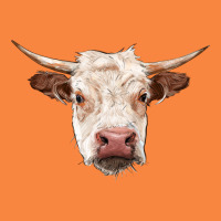 Hereford Cow Head Premium Sweatshirt | Teevron