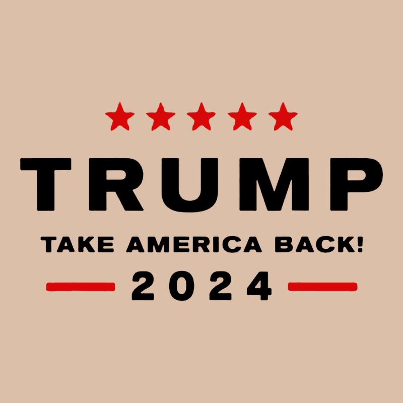 Donald Trump 2024 Take America Back Urban Heavy Tee by baoMotion | Teevron