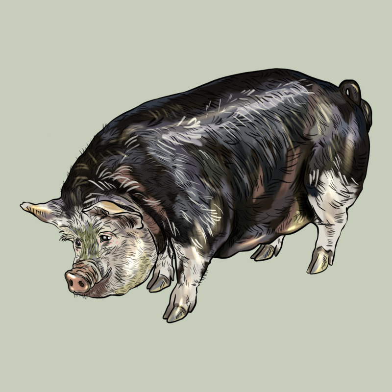 Poland China Pig Ladies Tee by LillyAllenDesigns | Teevron