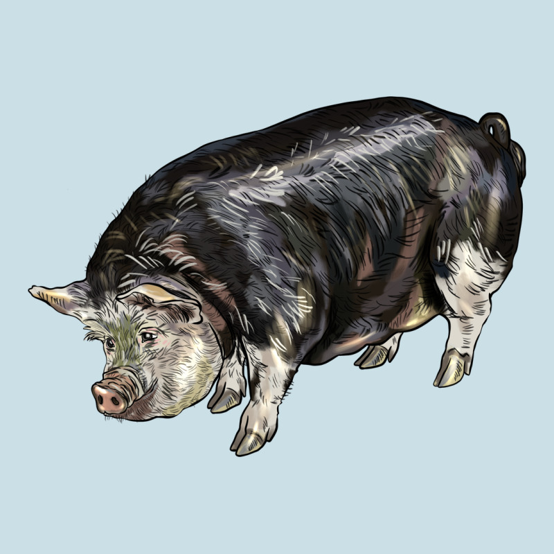 Poland China Pig Ladies Tee by LillyAllenDesigns | Teevron