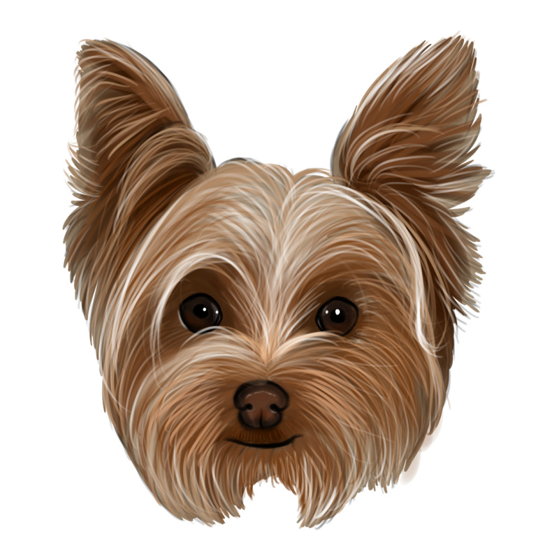 Yorkie Zipper Hoodie by Jasminsmagicworld | Teevron